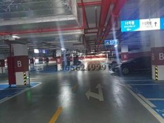 西安做道路交通設(shè)施地面震蕩標(biāo)線多少錢1平方米？